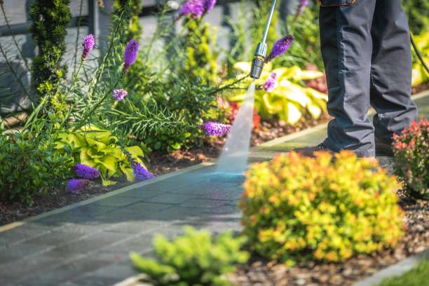 Best Parking Lot and Garage Cleaning  in Kensington, NY