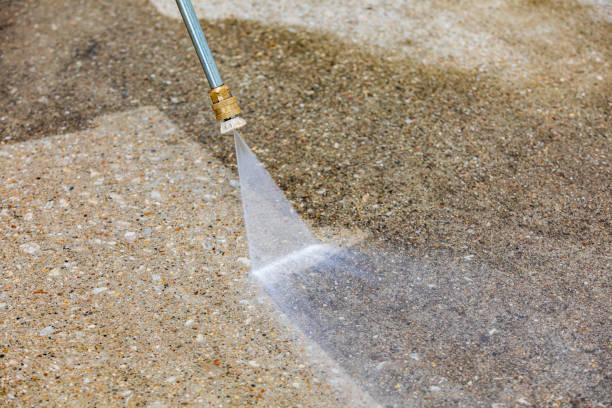 Animal Enclosure Cleaning in Kensington, NY